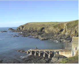 lizard point lifeboat
