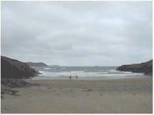 polzeath 1